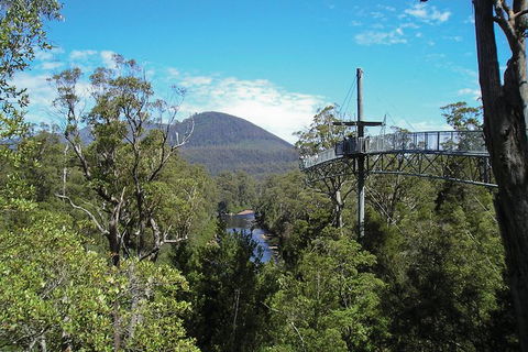 Small-group DayTour From Hobart: Hastings Caves, Huon Valley And Tahune AirWalk - New Castle Holiday 9