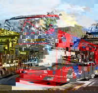 Hobart Hop-on Hop-off Bus Tour - New Castle Holiday