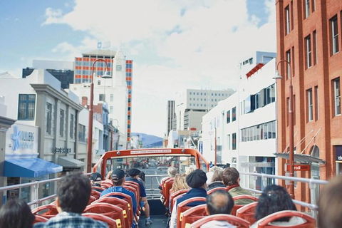 Hobart Hop-on Hop-off Bus Tour - New Castle Holiday 5