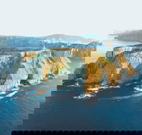 3-Hour Tasman Peninsula Wilderness Cruise from Port Arthur - New Castle Holiday