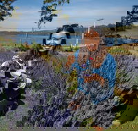 Port Arthur and Lavender Farm Active Day Tour - New Castle Holiday