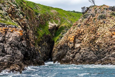 Hobart Sightseeing Cruise Including Iron Pot Lighthouse - New Castle Holiday 1