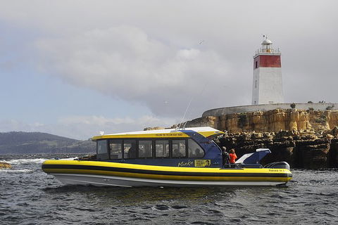 Hobart Sightseeing Cruise Including Iron Pot Lighthouse - New Castle Holiday 7