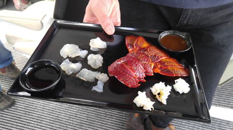Fresh From The Ocean: Tasmanian Seafood Gourmet Full-Day Cruise Including Lunch - New Castle Holiday 5