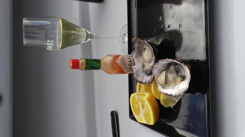 Fresh From The Ocean: Tasmanian Seafood Gourmet Full-Day Cruise Including Lunch - New Castle Holiday 10