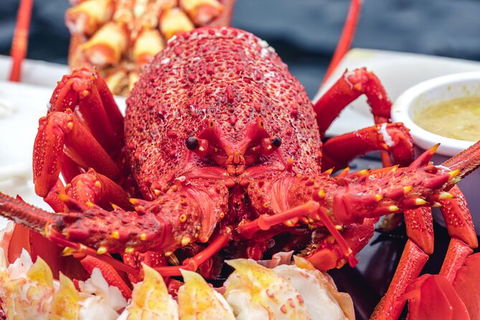 Fresh From The Ocean: Tasmanian Seafood Gourmet Full-Day Cruise Including Lunch - New Castle Holiday 15