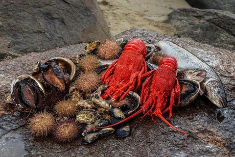 Fresh From The Ocean: Tasmanian Seafood Gourmet Full-Day Cruise Including Lunch - New Castle Holiday 16