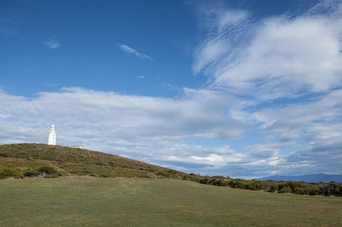 Bruny Island Premium Private Photo-oriented Day Tour From Hobart - New Castle Holiday 1