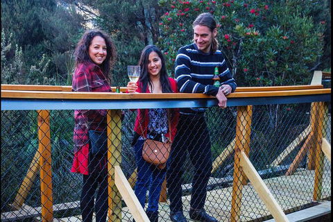 Sunset Experience - New Castle Holiday 7