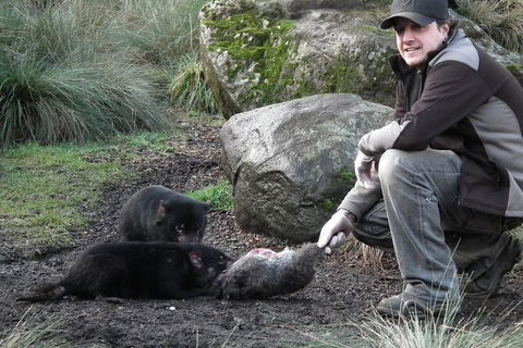 Sunset Experience - New Castle Holiday 4