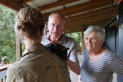 Sunset Experience - New Castle Holiday 6