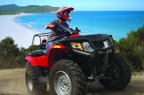 Half-Day Guided ATV Exploration Tour From Coles Bay - New Castle Holiday 0