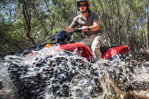 Half-Day Guided ATV Exploration Tour From Coles Bay - New Castle Holiday 1