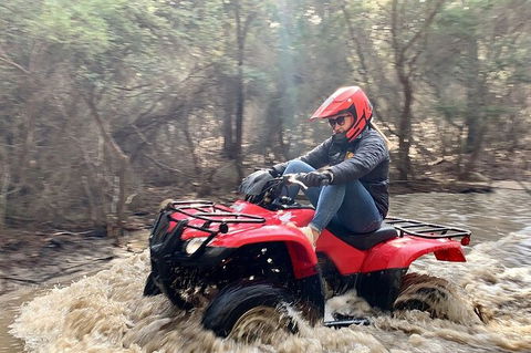 Half-Day Guided ATV Exploration Tour From Coles Bay - New Castle Holiday 7