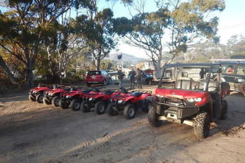 Half-Day Guided ATV Exploration Tour From Coles Bay - New Castle Holiday 4
