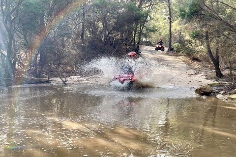 Half-Day Guided ATV Exploration Tour From Coles Bay - New Castle Holiday 3