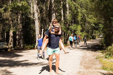 7-Day Best Of Tasmania Adventure Experience From Hobart (flexible Ticket) - New Castle Holiday 5