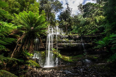 7-Day Best Of Tasmania Adventure Experience From Hobart (flexible Ticket) - New Castle Holiday 3