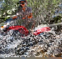 Quad Bike 2-Hour Adventure Freycinet National Park - New Castle Holiday