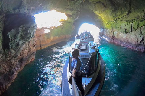 Maria Island Cruise + Walk. Renowned Day Tour With Drinks And Guided Walk - New Castle Holiday 4