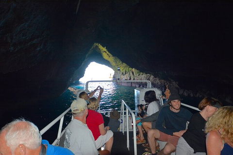 Maria Island Cruise + Walk. Renowned Day Tour With Drinks And Guided Walk - New Castle Holiday 11