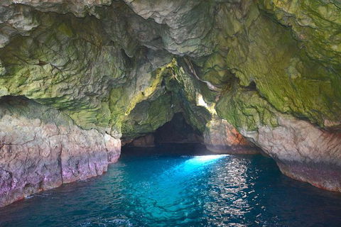 Maria Island Cruise + Walk. Renowned Day Tour With Drinks And Guided Walk - New Castle Holiday 5