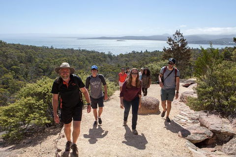 Active Day Tour One-Way From Hobart To Launceston With Wineglass Bay - New Castle Holiday 1