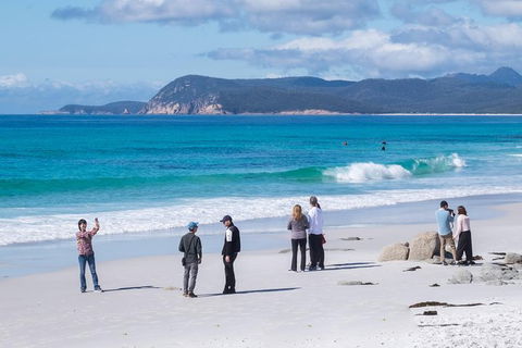 Full-Day Tour To Wineglass Bay From Hobart - New Castle Holiday 7