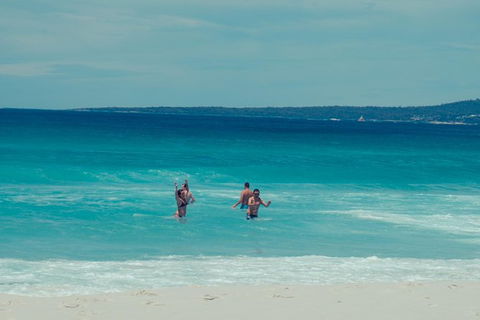 Full-Day Tour To Wineglass Bay From Hobart - New Castle Holiday 5