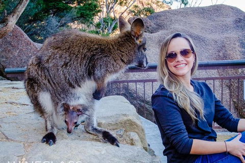 Full-Day Tour To Wineglass Bay From Hobart - New Castle Holiday 9