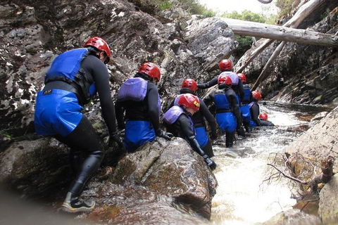 Half Day Cradle Mountain Canyoning: Lost World Canyon - New Castle Holiday 1
