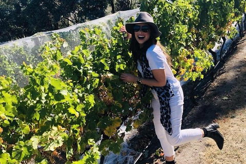 Valleys Of Vino Tour - New Castle Holiday 1