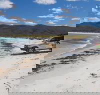 4X4 and Lunch Half Day Bicheno Coastal Mountain - New Castle Holiday