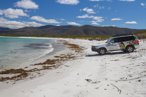 4X4 And Lunch Half Day Bicheno Coastal Mountain - New Castle Holiday 0