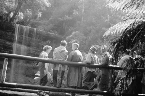 Guided Shore Excursion: Mt Field National Park Salmon Ponds Bonorong Wildlife - New Castle Holiday 1