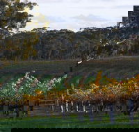 Barossa Valley with Hahndorf Tour from Adelaide - New Castle Holiday