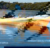 Adelaide Dolphin Sanctuary and Ships Graveyard Kayak Tour - New Castle Holiday