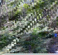 Self-Guided Waterfall Gully to Mount Lofty Hike from Adelaide - New Castle Holiday