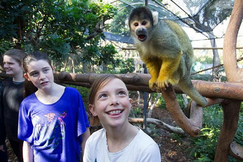 Adelaide Zoo Behind The Scenes Experience: Squirrel Monkey Feeding - New Castle Holiday 1
