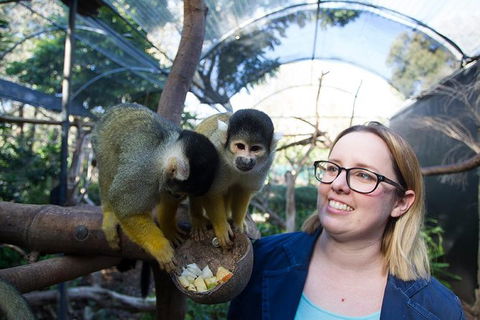 Adelaide Zoo Behind The Scenes Experience: Squirrel Monkey Feeding - New Castle Holiday 0