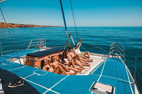 Dolphin Cruise From Adelaide With Optional Dolphin Swim - New Castle Holiday 3
