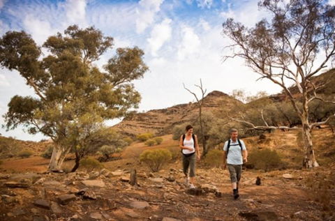 Flinders Ranges 3 Day 4WD Small Group Eco Tour From Adelaide - New Castle Holiday 0