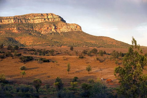 Flinders Ranges 3 Day 4WD Small Group Eco Tour From Adelaide - New Castle Holiday 8