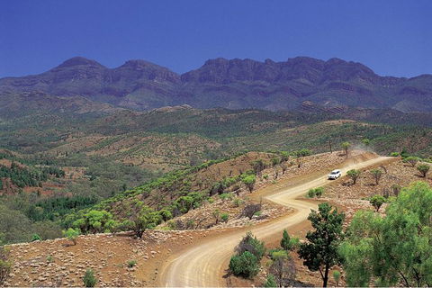 Flinders Ranges 3 Day 4WD Small Group Eco Tour From Adelaide - New Castle Holiday 9