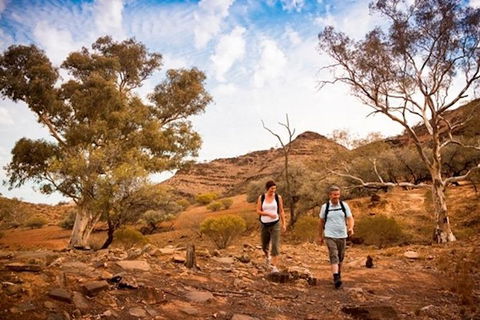 Flinders Ranges 3 Day 4WD Small Group Eco Tour From Adelaide - New Castle Holiday 3