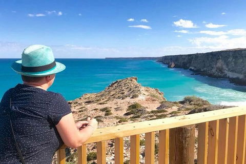 3 Day Whale Watching Tour From Adelaide - New Castle Holiday 0