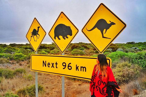 3 Day Whale Watching Tour From Adelaide - New Castle Holiday 10