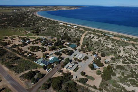 3 Day Whale Watching Tour From Adelaide - New Castle Holiday 13