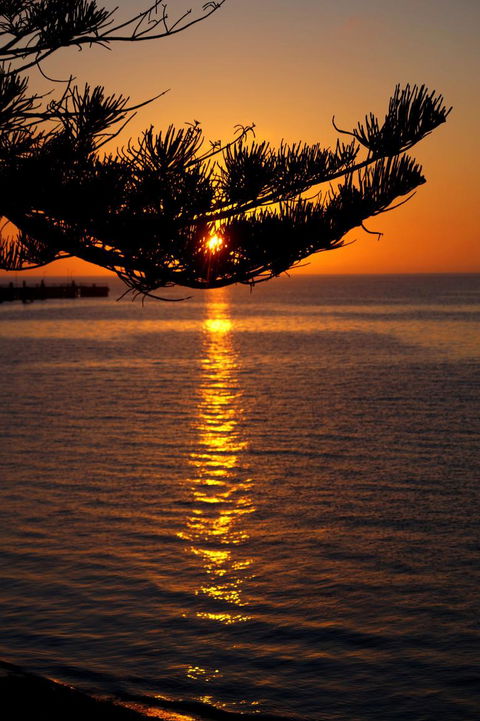 2-Day Kangaroo Island Tour From Adelaide - New Castle Holiday 14