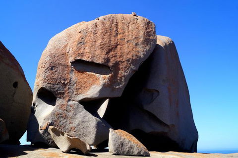 2-Day Kangaroo Island Tour From Adelaide - New Castle Holiday 11